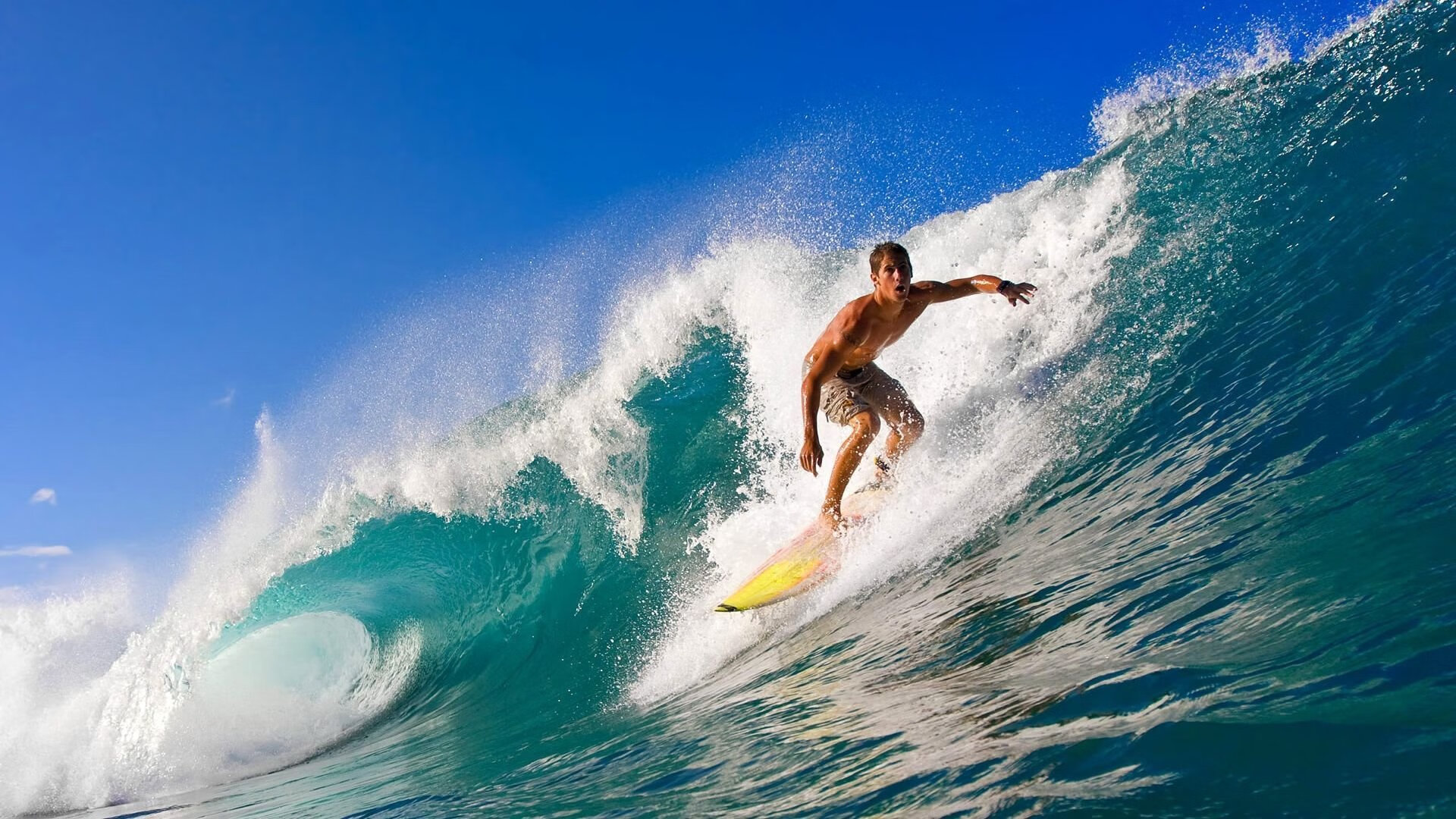 中国速度滑冰队世锦赛勇夺双金 创历史最佳战绩